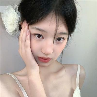 森林里的熊先生